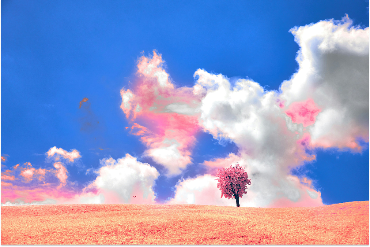 High-Resolution Visual Reasoning via Multi-Turn Grounding-Based Reinforcement Learning