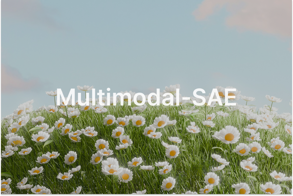 Multimodal-SAE