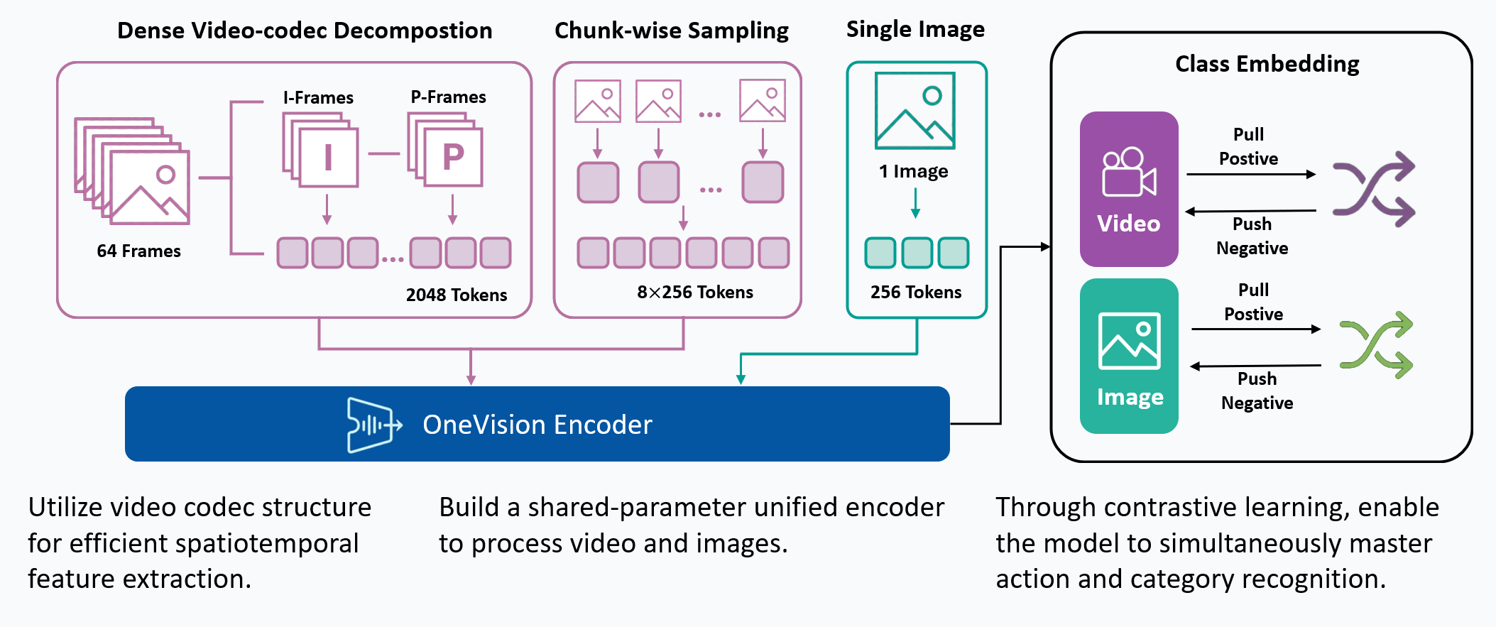 OneVision Encoder Method Overview