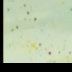 Frame 4, h=6, w=0 Frame 4, h=6, w=0