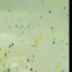 t=1, h=5, w=7 t=1, h=5, w=7