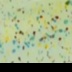 t=1, h=6, w=6 t=1, h=6, w=6